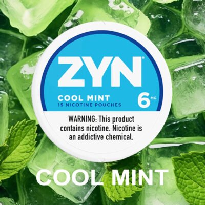ZYN Cool Mint 6MG